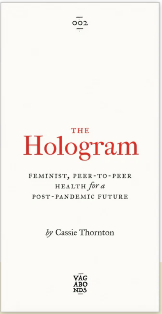 Vooromslag boek The Hologram (Vagabonds 002, Pluto Press, 2020)