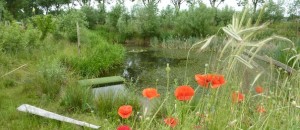Opleiding permacultuur Maranke Spoor Opleiding permacultuur Maranke Spoor