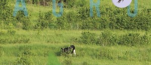 Herstellende landbouw – Agro-ecologie voor boeren burgers en buitenlui Herstellende landbouw – Agro-ecologie voor boeren burgers en buitenlui