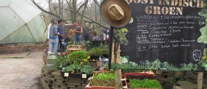 Lente op Oost Indisch Groen Lente op Oost Indisch Groen